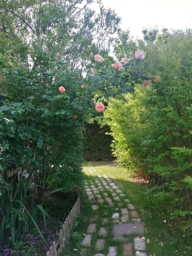 Casavittorio Bed & Breakfast ซาน จิโอวานนิ อิน มาริยาโน ภายนอก รูปภาพ